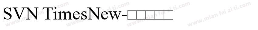 SVN TimesNew字体转换